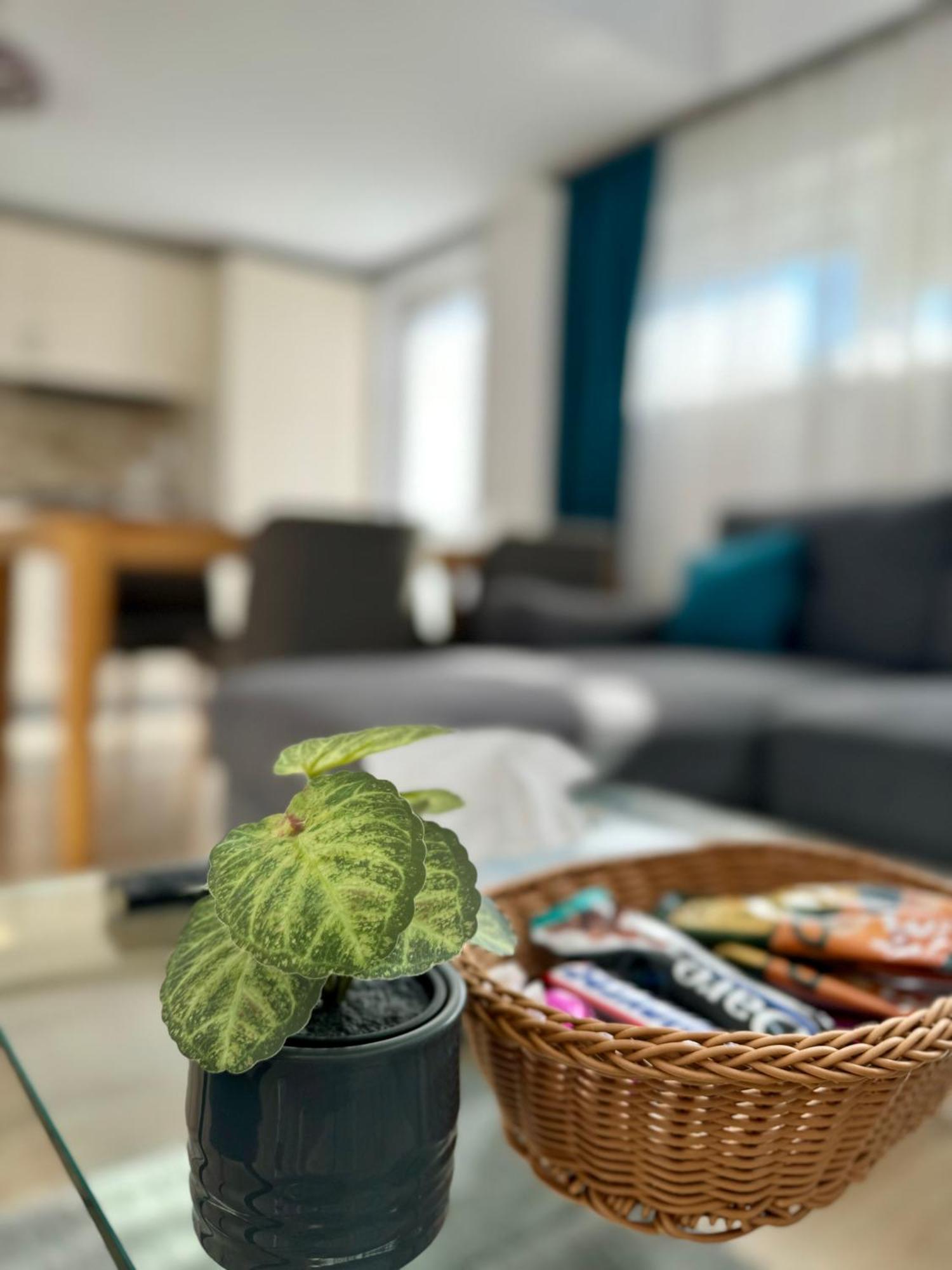 Citadel Duplex Suites 12 Сигишоара Екстериор снимка